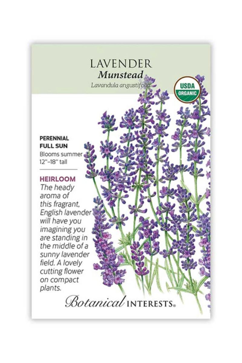 Botanical Interests Munstead Lavender Organic Seeds
