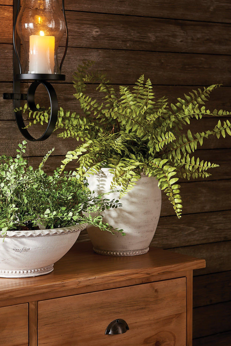 Napa Faux Boston Fern Drop-in 12"