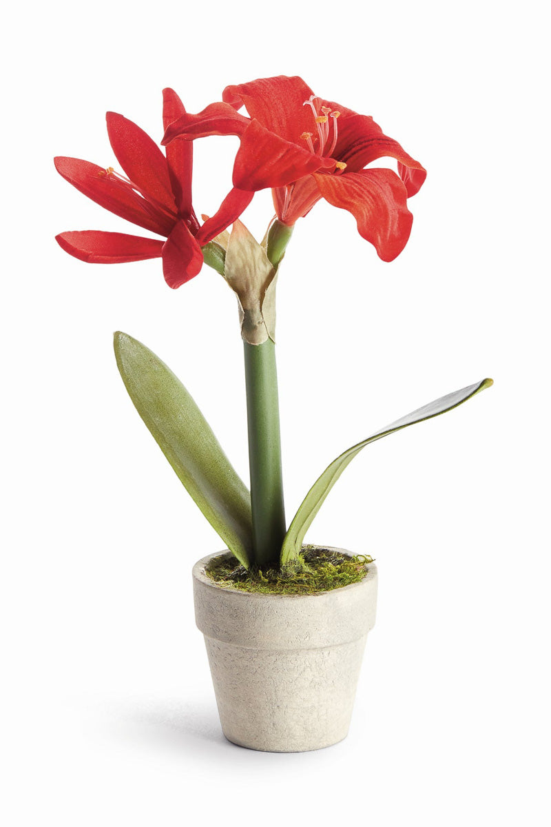 Napa Faux Mini Amaryllis Potted Drop-in 9"