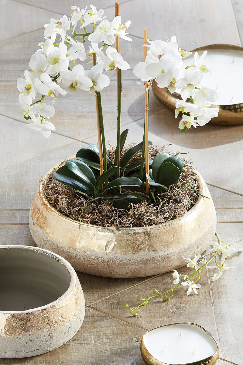 Napa Maude Decorative Bowl Large Champagne