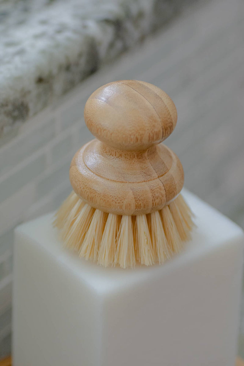 No Tox Life Casa Agave Dish Brush