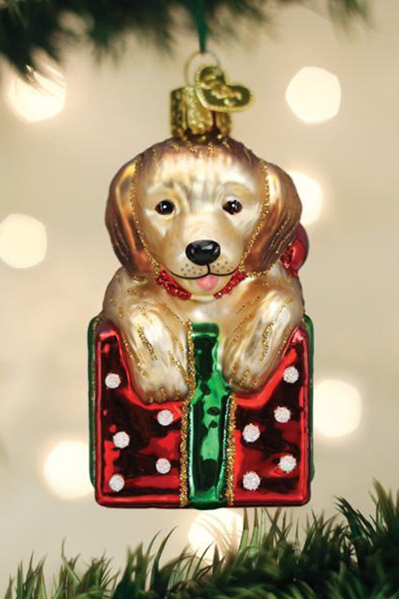 Golden Puppy Surprise Ornament