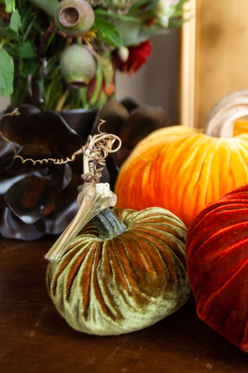 Plush Pumpkin Velvet Pumpkin 6" Curry