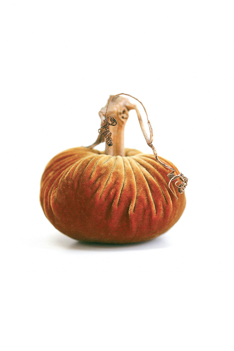 Plush Pumpkin Velvet Pumpkin 6" Curry