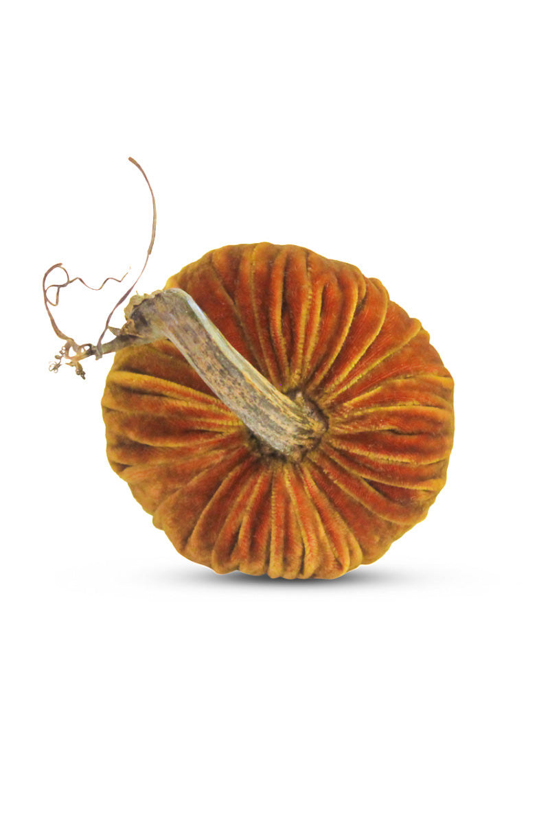 Plush Pumpkin Velvet Pumpkin 6" Curry
