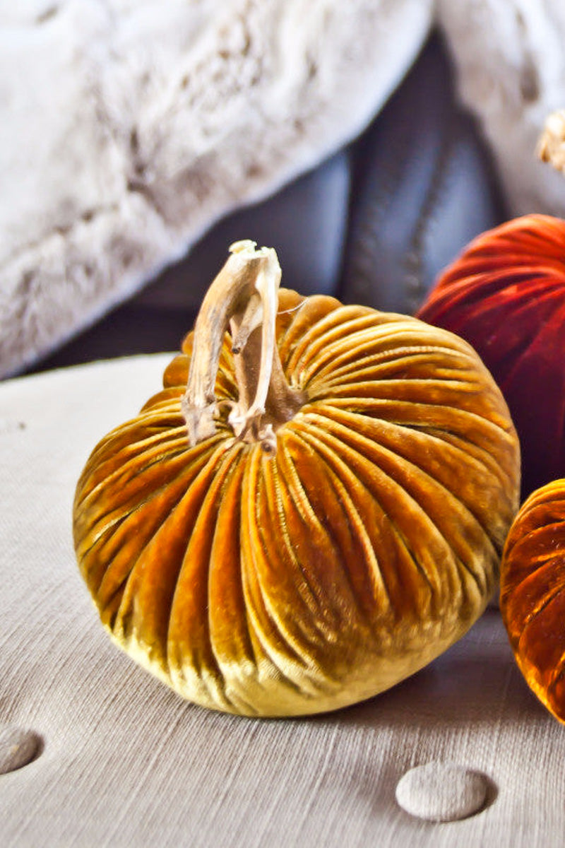 Plush Pumpkin Velvet Pumpkin 8" Curry