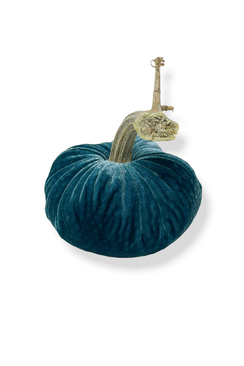 Plush Pumpkin Velvet Pumpkin 6" Peacock