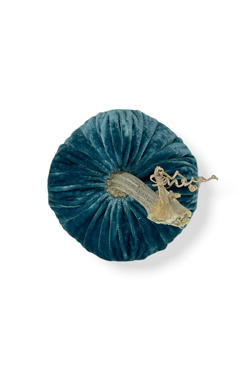 Plush Pumpkin Velvet Pumpkin 6" Peacock