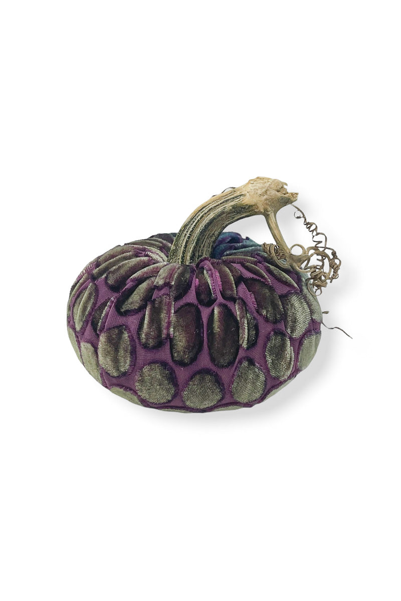 Plush Pumpkin Velvet Pumpkin 6" Peacock Dot