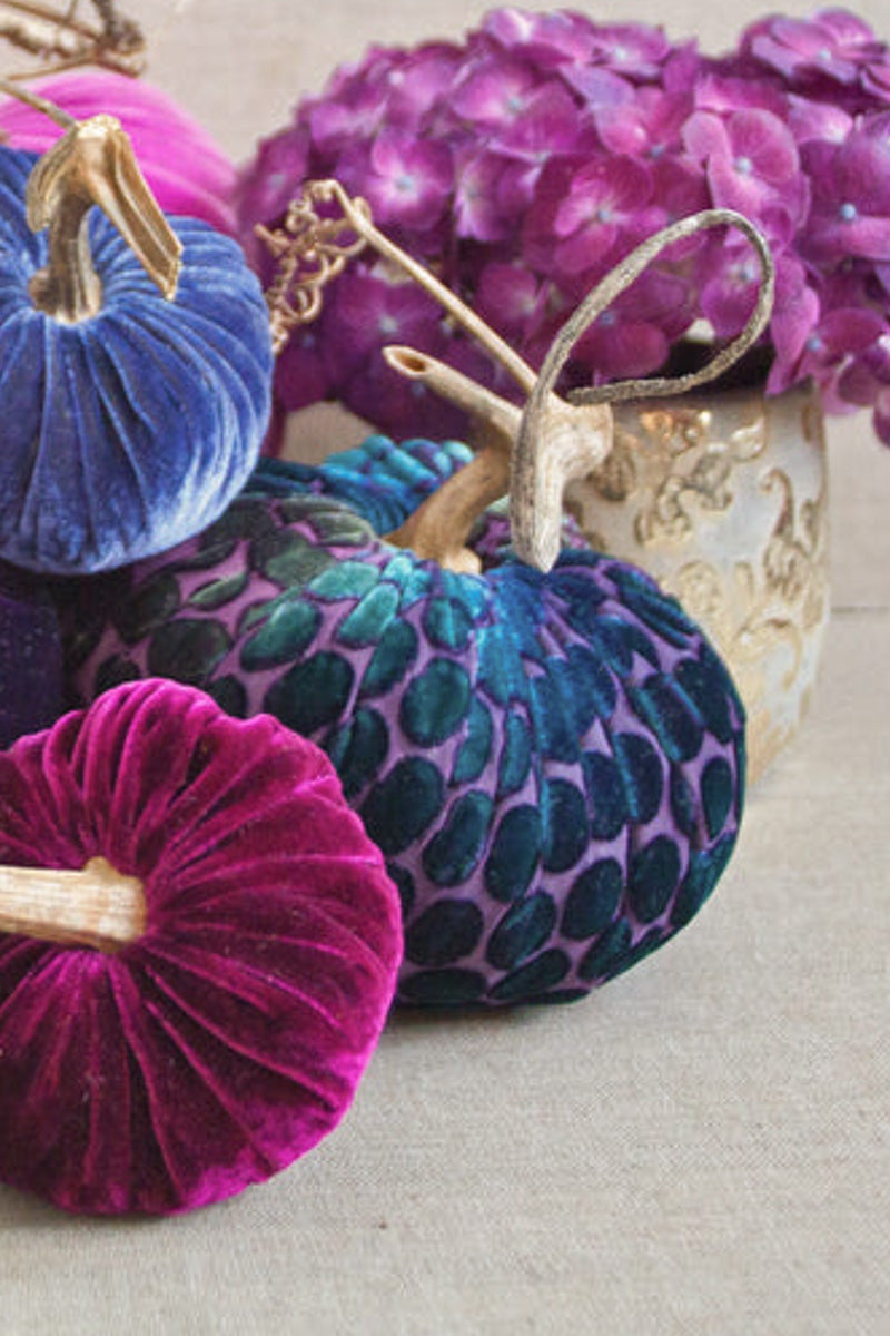 Plush Pumpkin Velvet Pumpkin 4" Peacock Dot