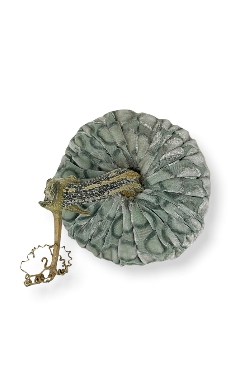 Plush Pumpkin Velvet Pumpkin 4" Pistachio