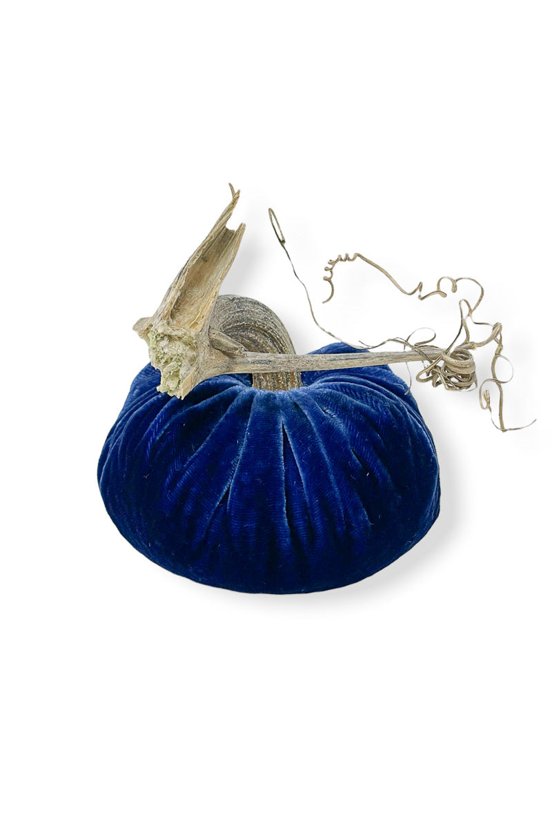 Plush Pumpkin Velvet Pumpkin 4" Sapphire