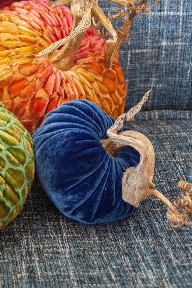 Plush Pumpkin Velvet Pumpkin 4" Sapphire