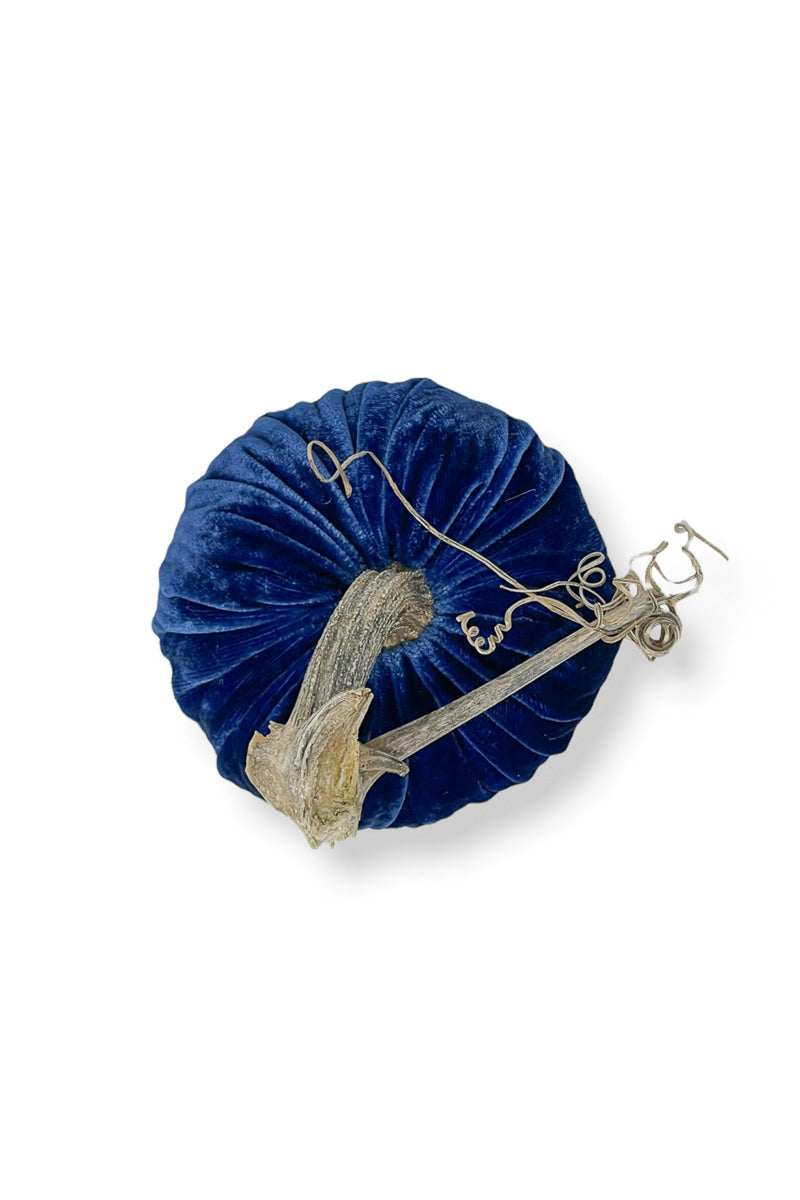 Plush Pumpkin Velvet Pumpkin 4" Sapphire
