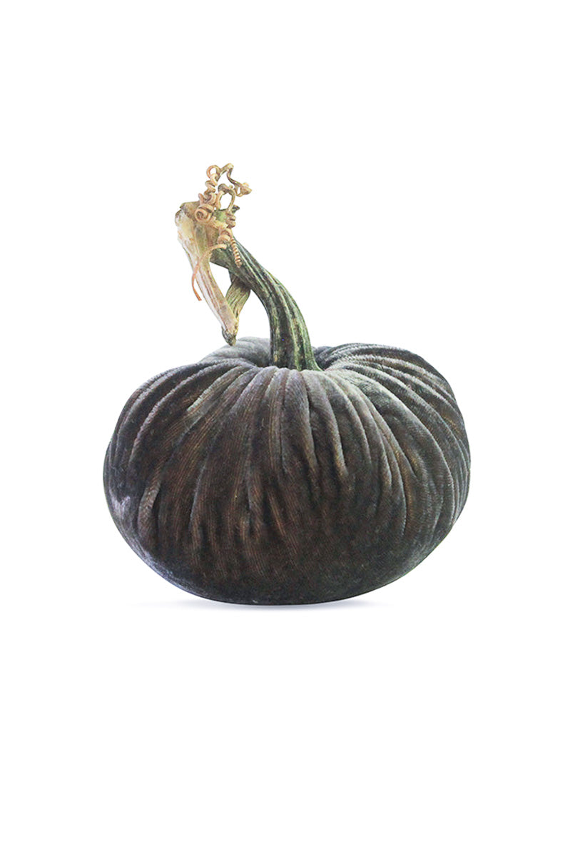 Plush Pumpkin Velvet Pumpkin 5" Smokey Topaz