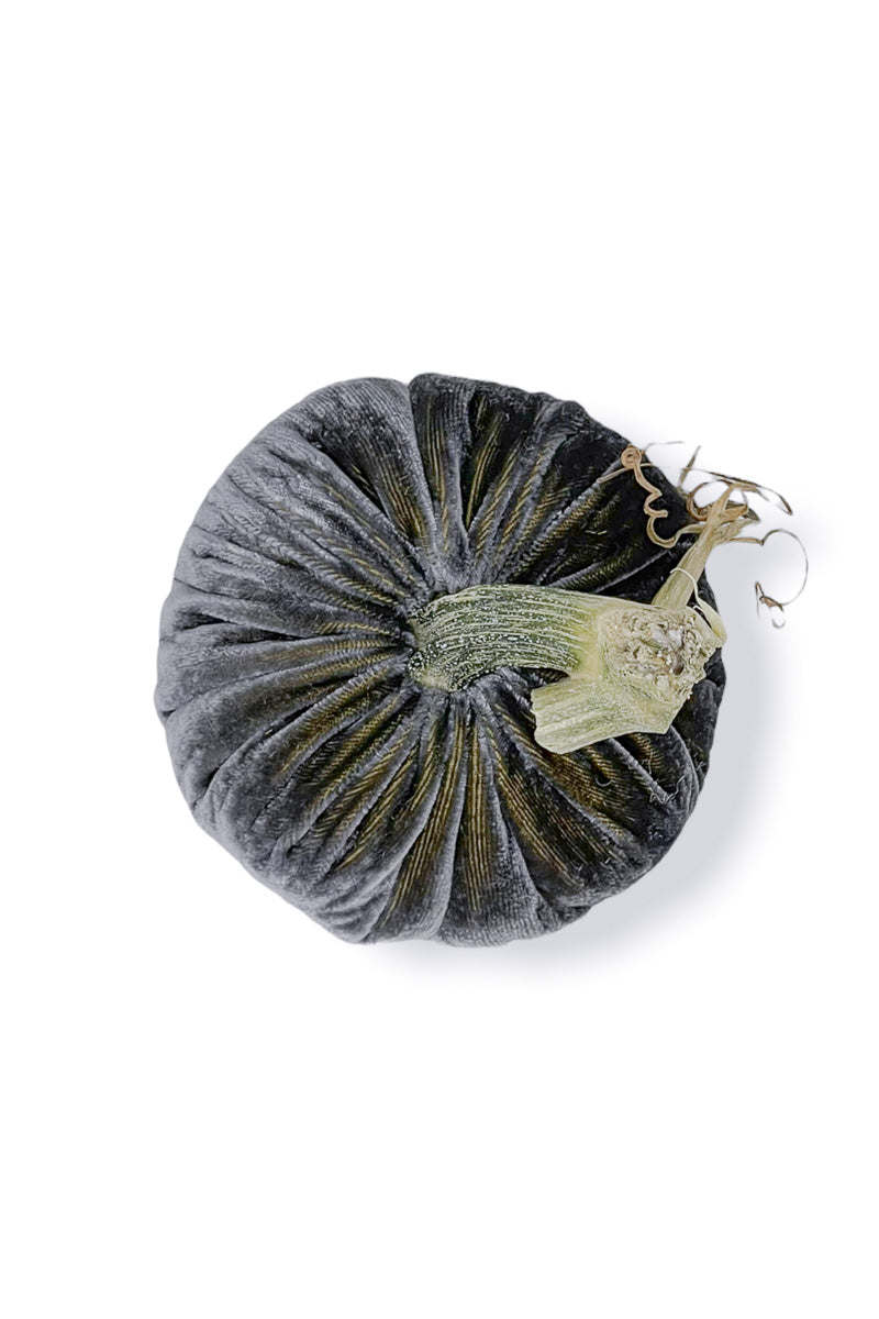 Plush Pumpkin Velvet Pumpkin 5" Smokey Topaz