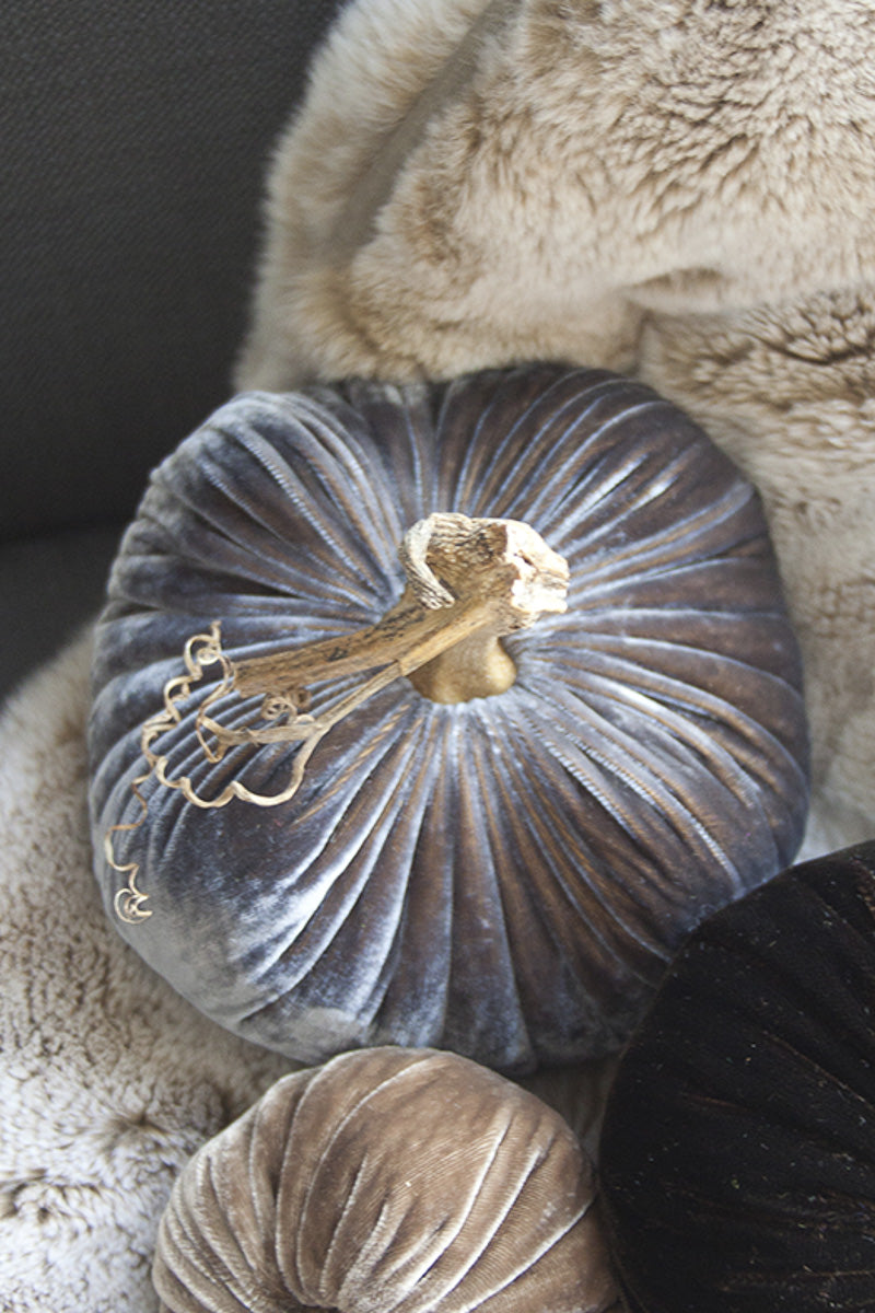 Plush Pumpkin Velvet Pumpkin 5" Smokey Topaz