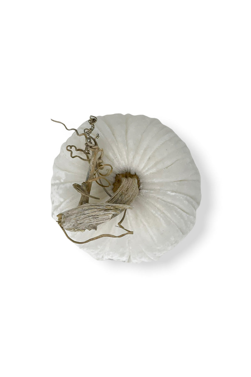 Plush Pumpkin Velvet Pumpkin 6" Snow