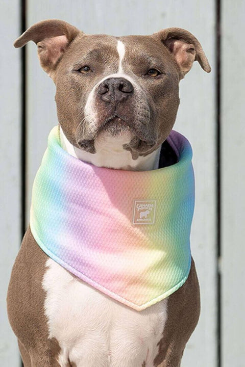 COOLING BANDANA RAINBOW SM