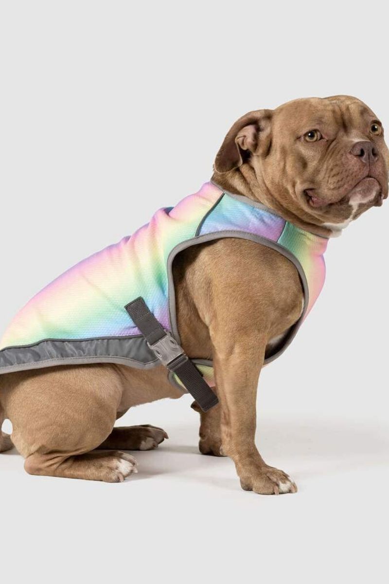 CANADA COOLING VEST RAINBOW 8