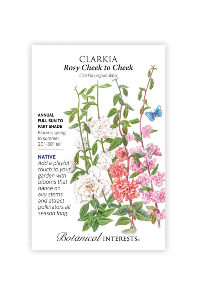 Botanical Interests Rosy Cheek to Cheek Clarkia Seeds