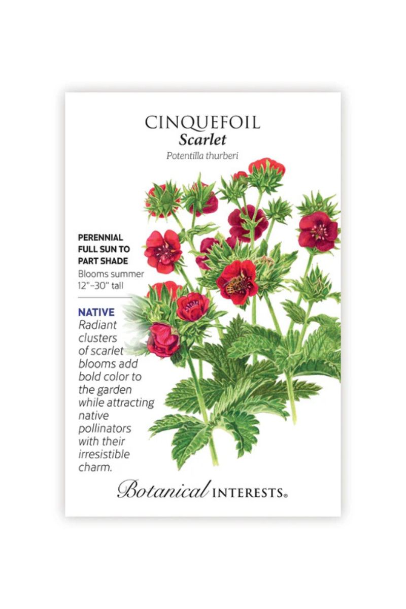 Botanical Interests Scarlet Cinquefoil Seeds