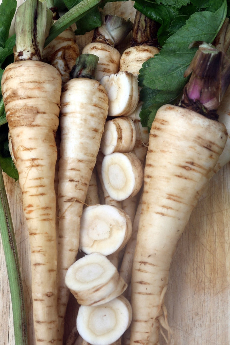 Seed Savers Hollow Crown Parsnip