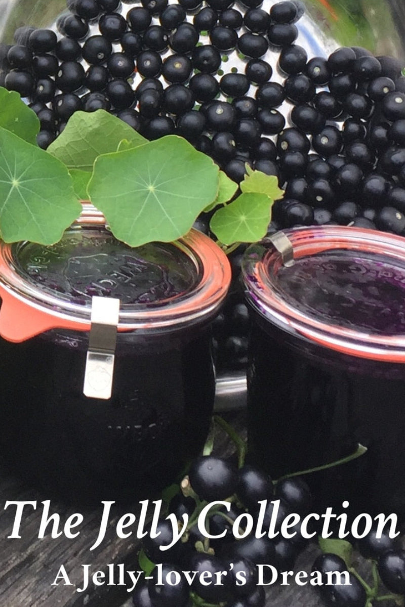 Seed Savers The Jelly Collection