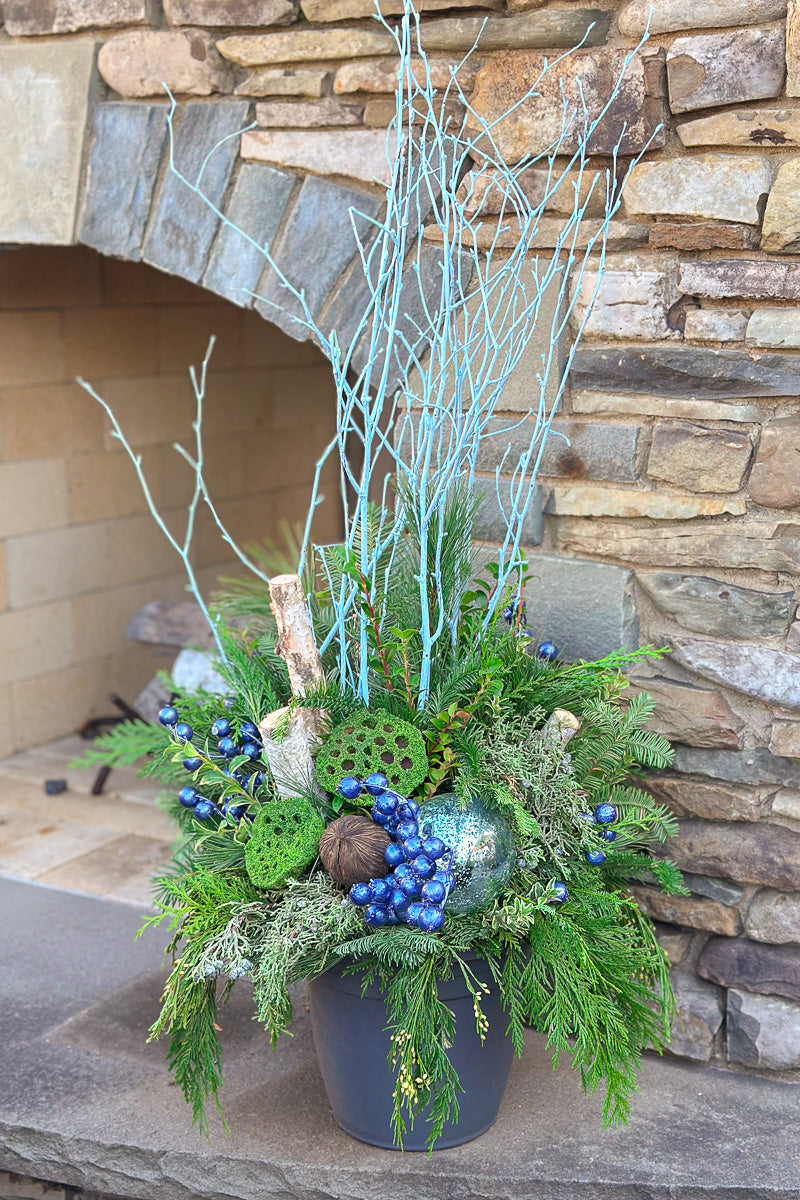 Chalet Signature Winter Blues 10"