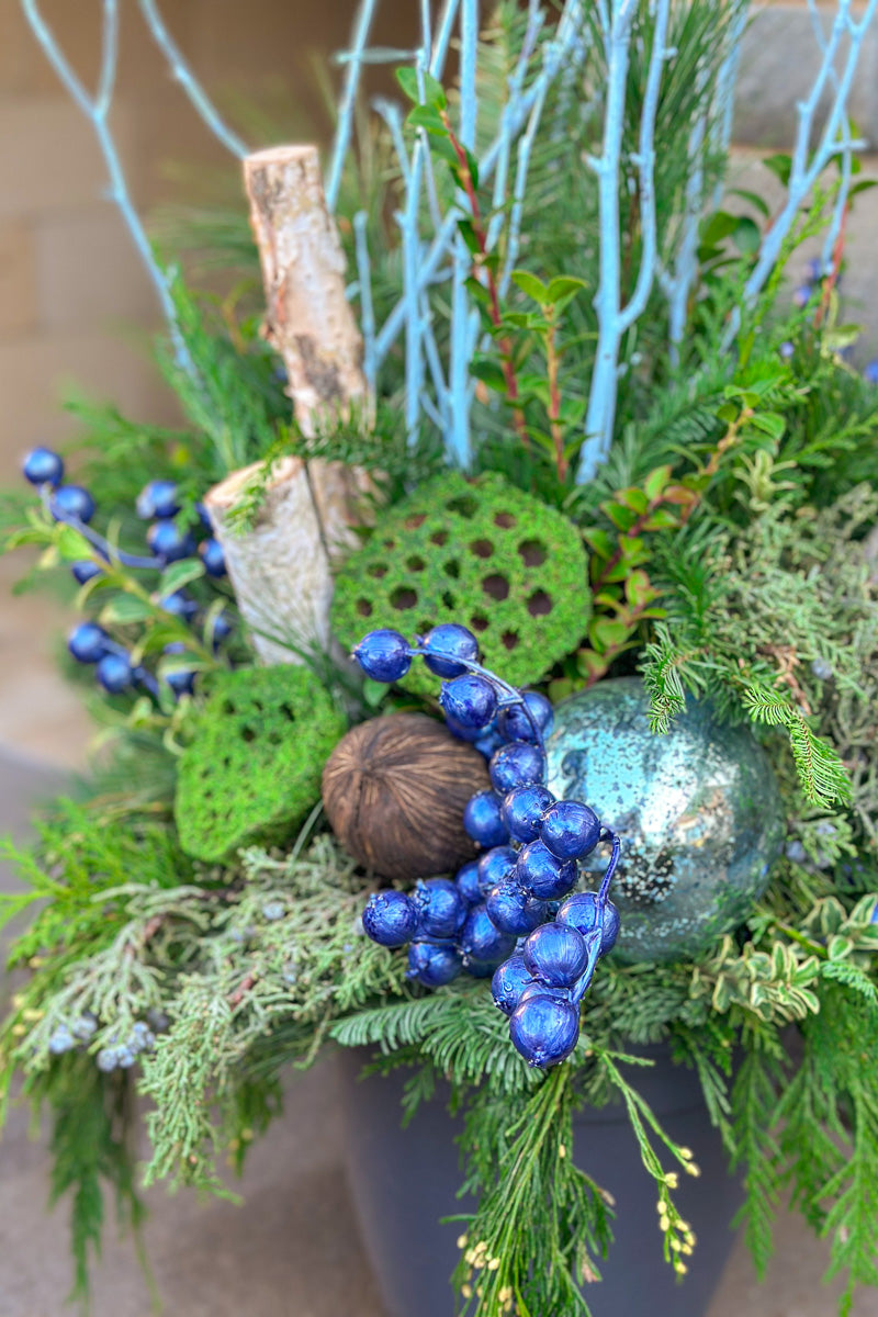 Chalet Signature Winter Blues 10"