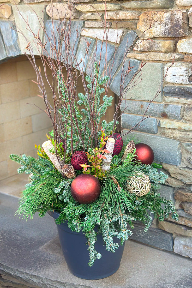 Chalet Signature Natural Winter 14"