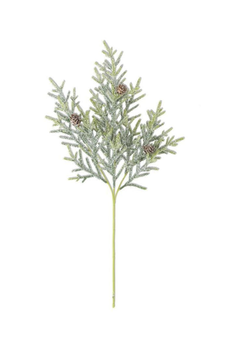 SILK STM SNWY JUNPR W/MN PNCN