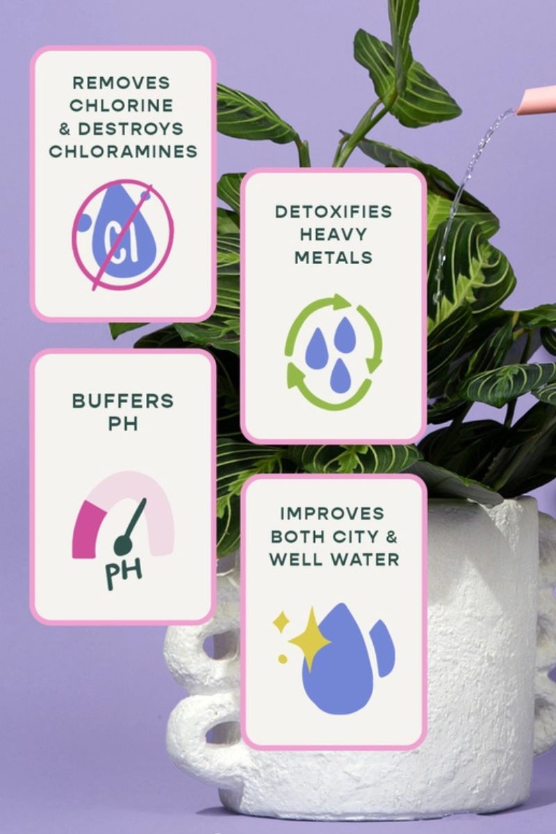 Southside Plants Houseplant Tap Water Conditioner