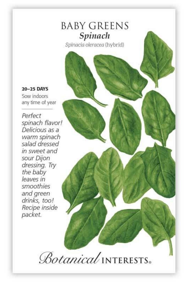 Botanical Interests Spinach Baby Greens Seeds