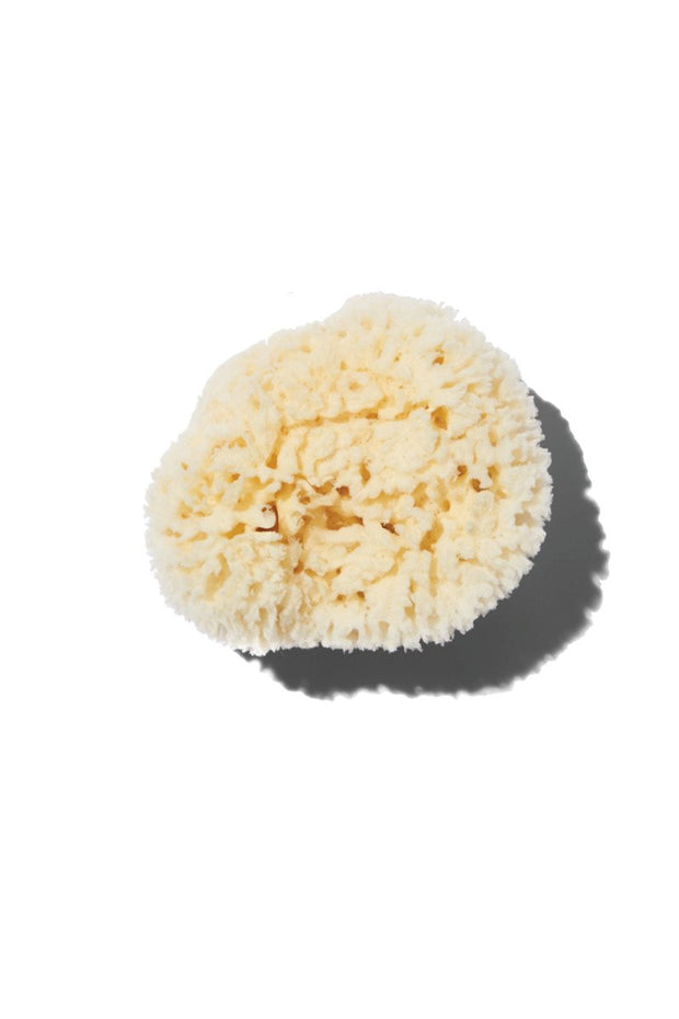 Baudelaire Wool Sea Sponge Set Small