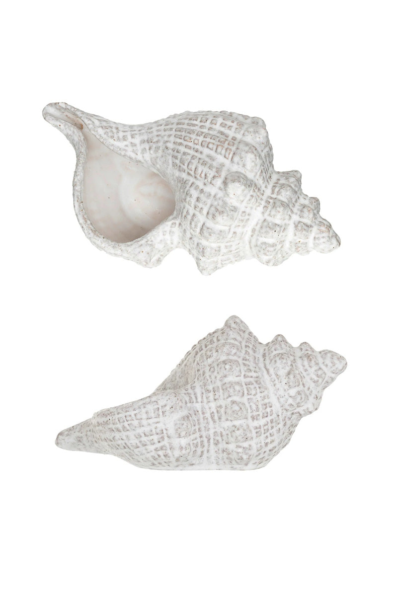STONEWARE CONCH SHELL WHITE