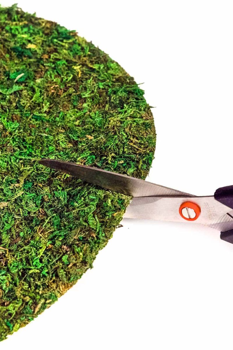 SuperMoss Instant Green Soil Toppers 14" Round 3 Pack