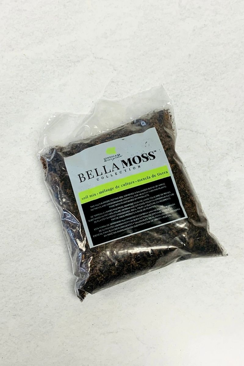 Terrarium Potting Soil Quart