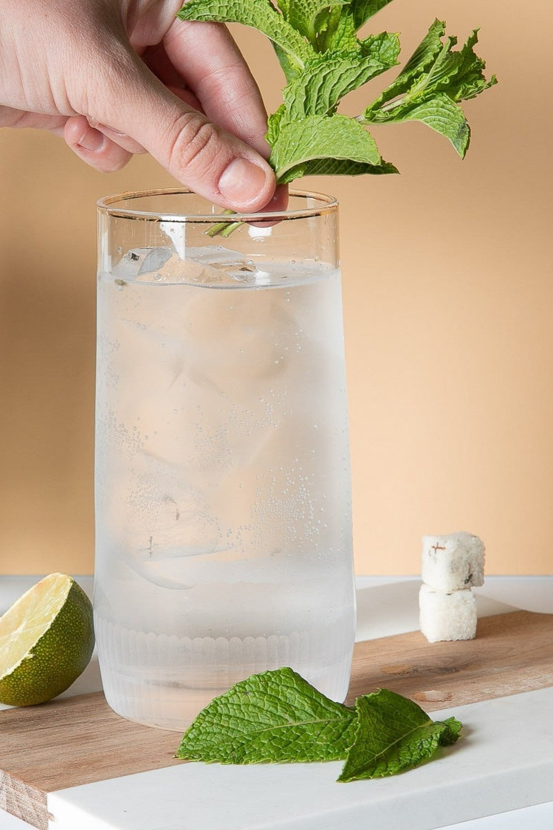 Teaspressa Luxe Sugar Cube Stick Mini Mojito