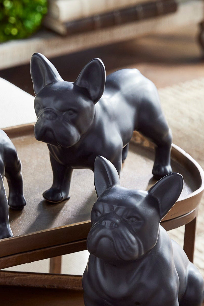 Three Dog Night Small