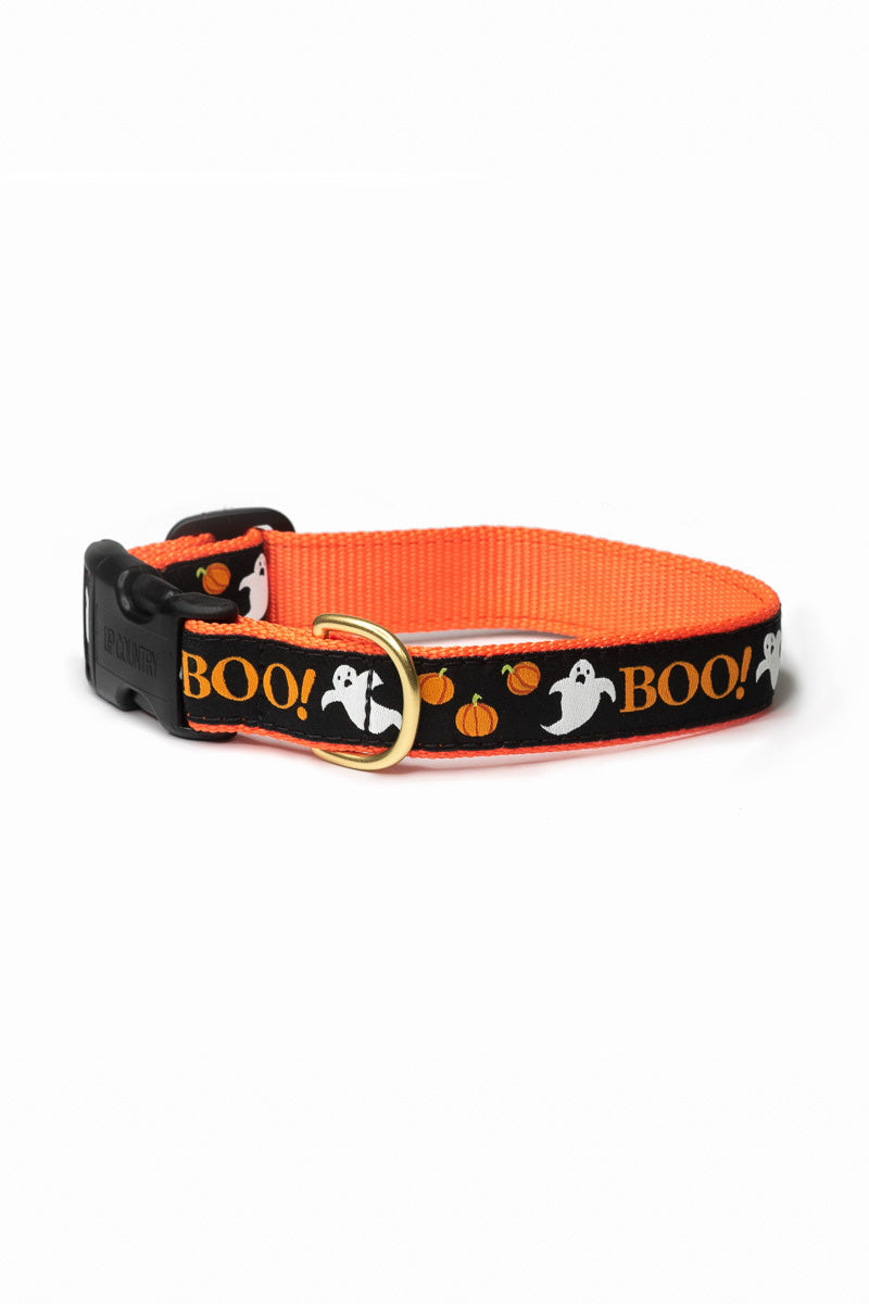 Up Country Boo Extra Small Narrow Collar