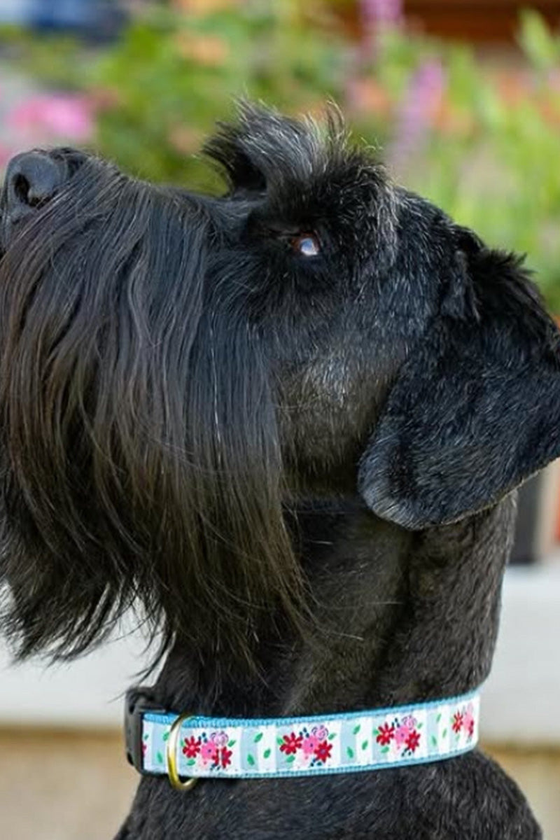 Up Country Bouquet Collar Small Narrow