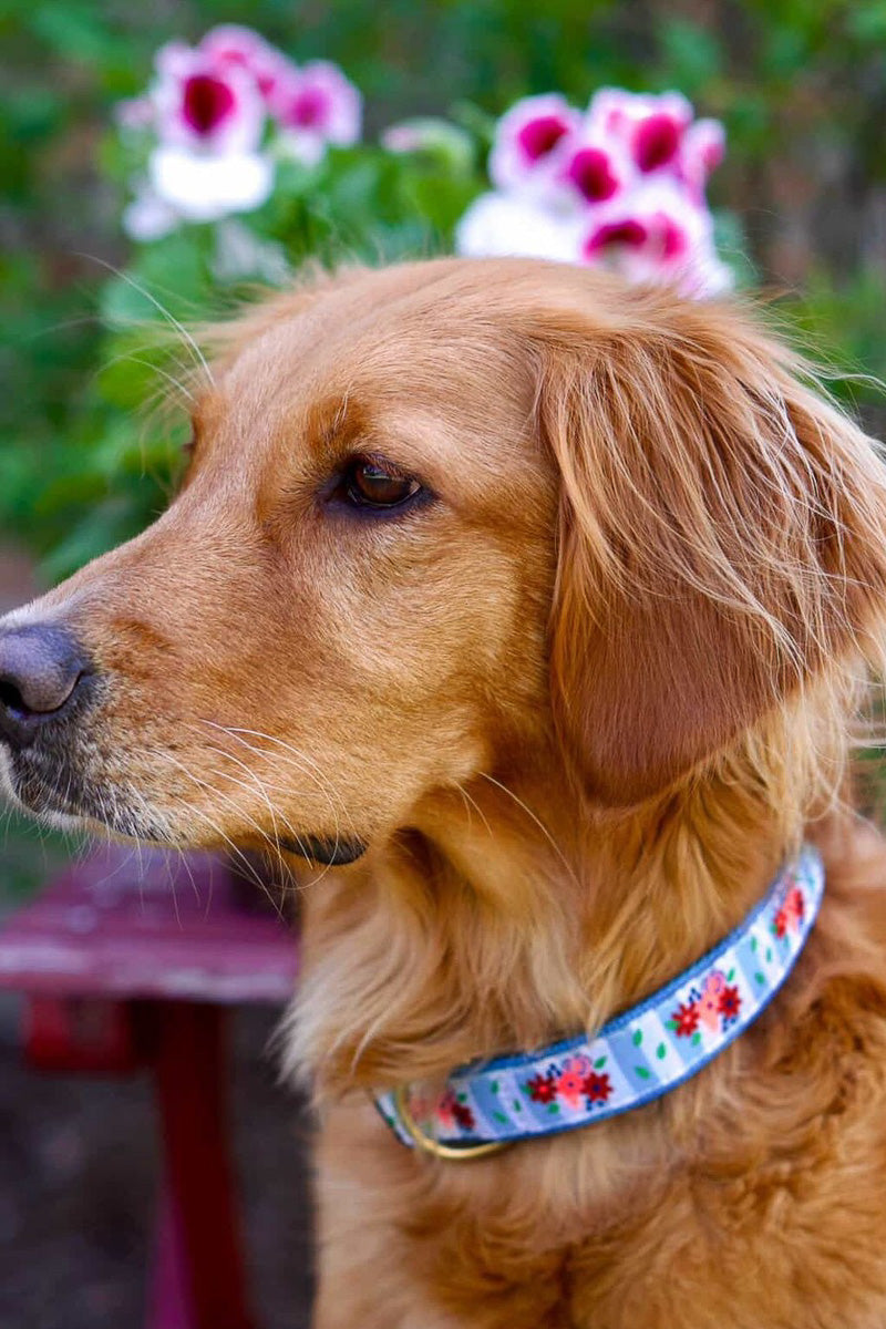 Up Country Bouquet Collar Large