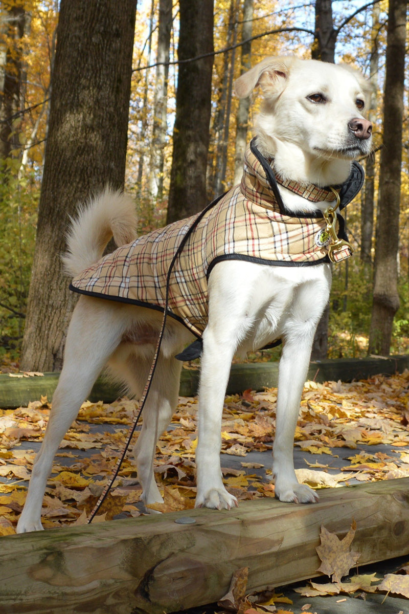 Up Country Quilted Plaid Coat Size 8