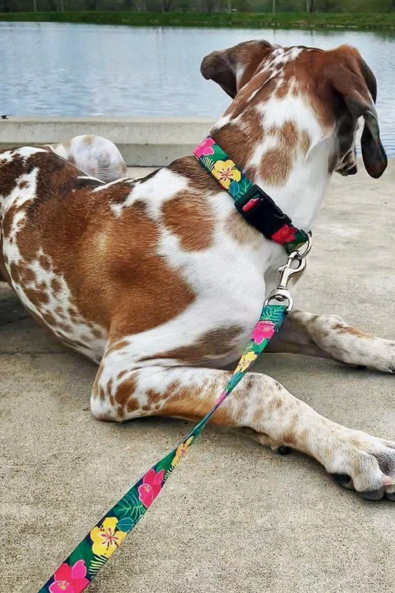 Up Country Hibiscus Dog Collar Extra Large Wide