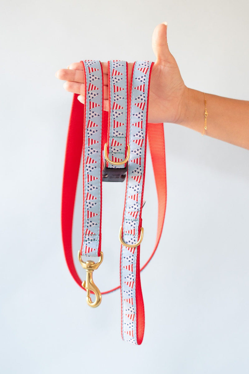 Up Country Party in the USA Dog Lead 5' Narrow