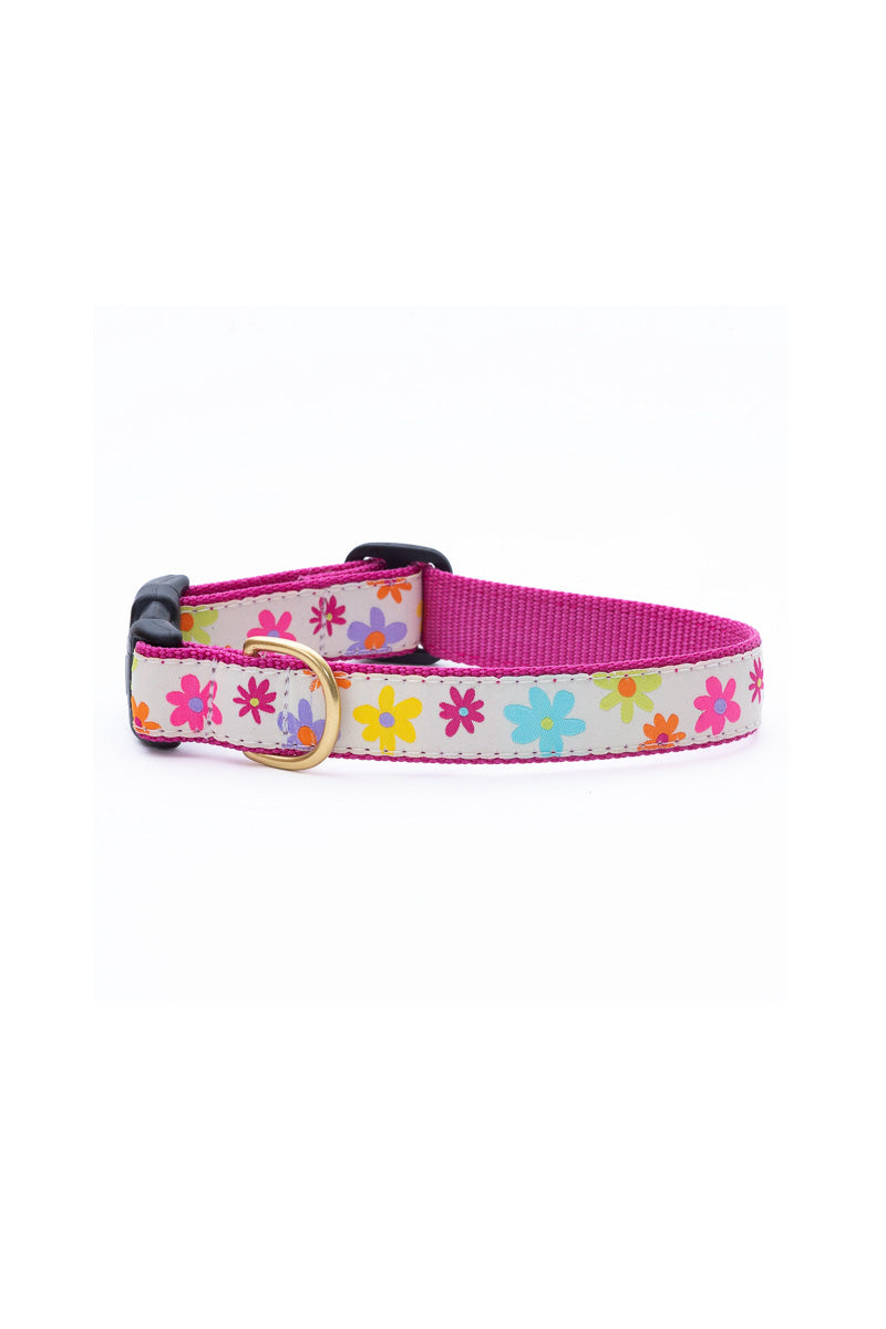 Up Country Spring Fever Large Collar