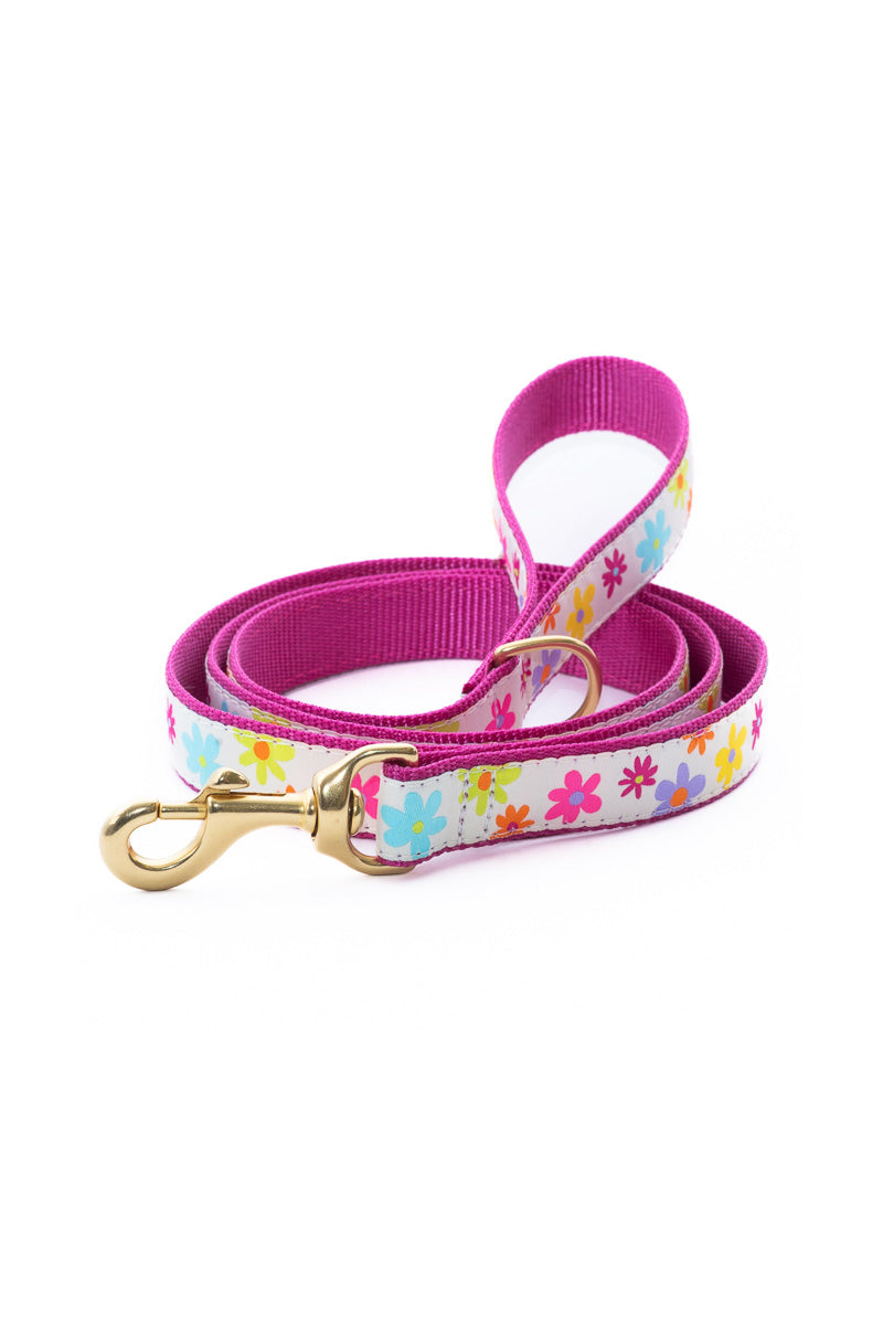 Up Country Spring Fever 5' Narrow Lead