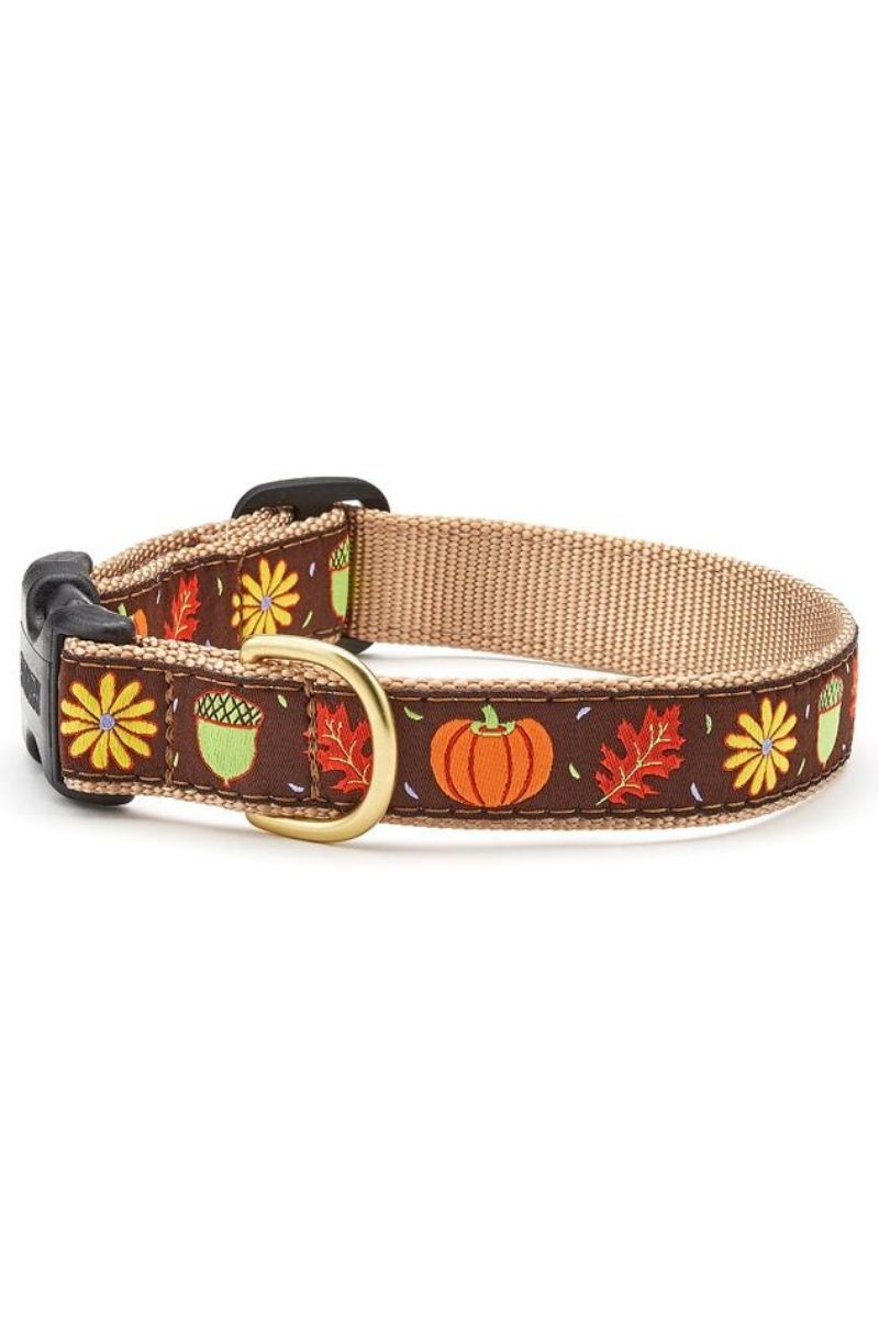 Up Country Harvest Time Dog Collar Small Narrow