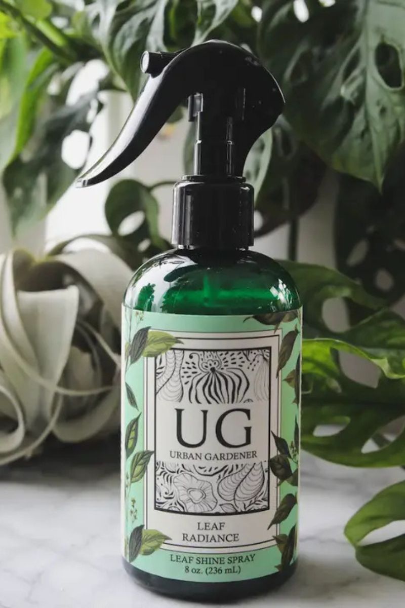 Urban Gardener Leaf Radiance